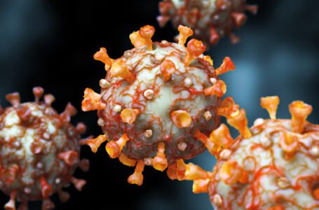 Saúde identifica variante mais agressiva do Coronavírus em Palmeira