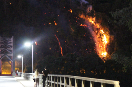 Incêndio florestal é registrado em União da Vitória nesta quinta (23)