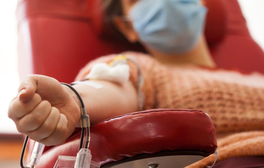 Grupo de São Mateus do Sul organiza viagem para doação de sangue, confira detalhes