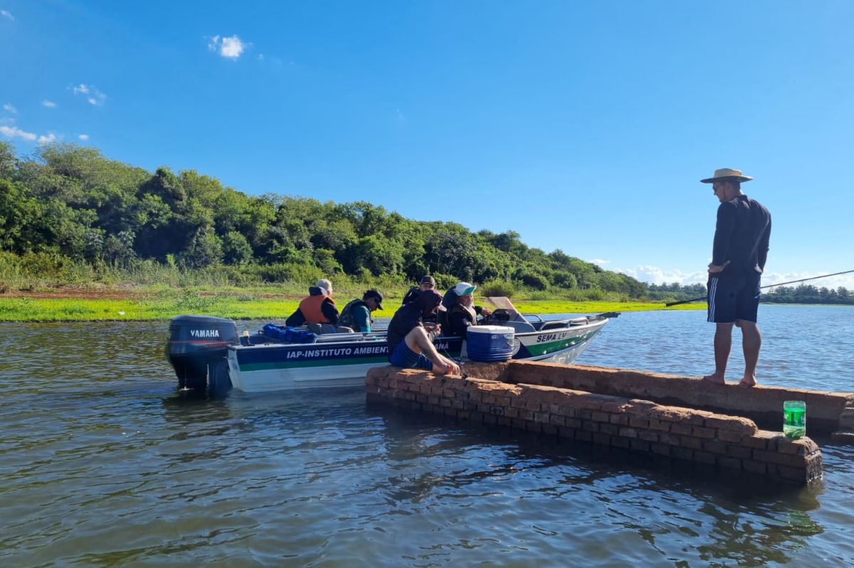 Paraná conclui a Piracema após 5 forças-tarefas de fiscalização e soltura de mais 770 mil peixes nativos