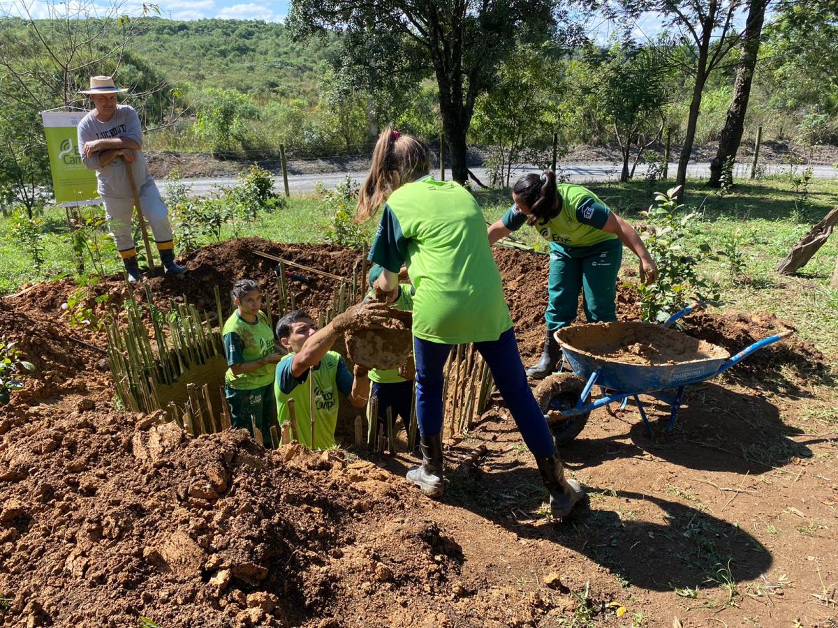 Projeto leva tratamento de esgoto agroecológico para o interior de São Mateus do Sul