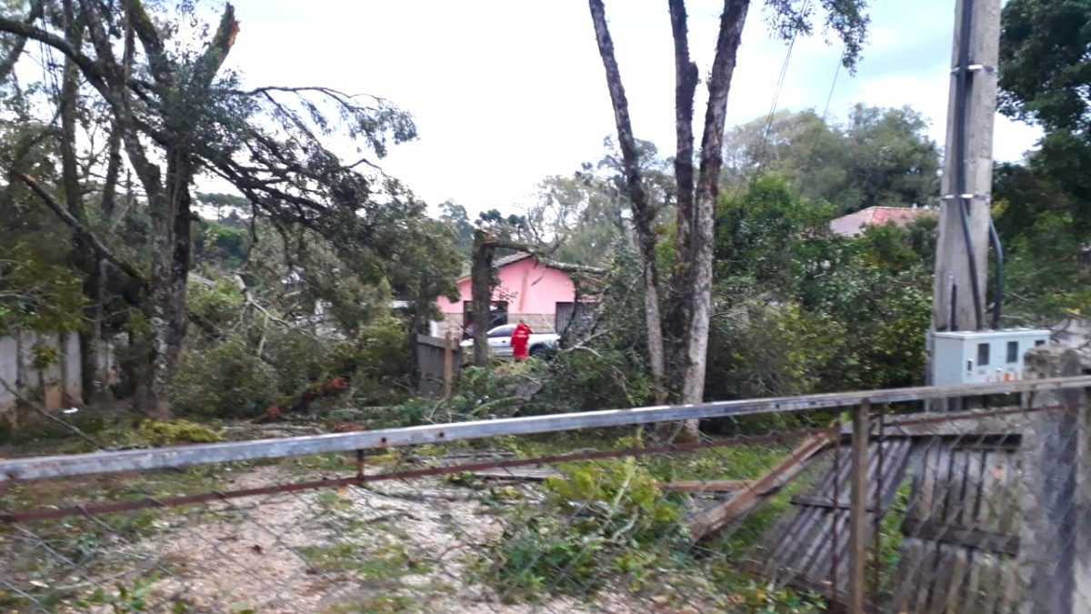 Ao menos 50 residências foram afetadas após forte chuva em Palmeira